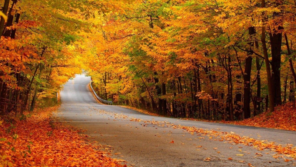 Strada Autunnale